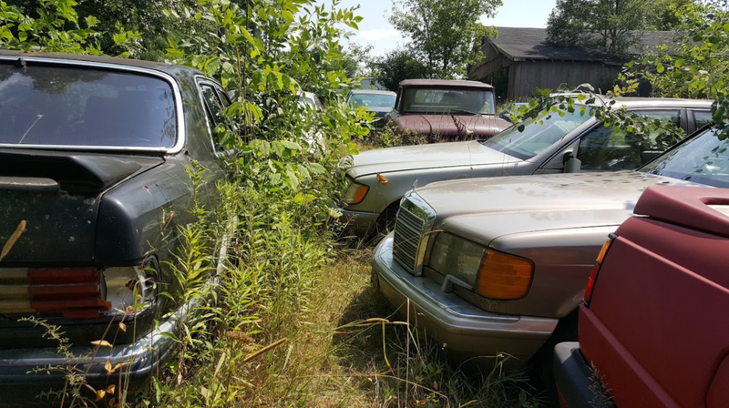 Illustration for article titled A Michigan Town Is Forcing This Man To Sell 20 Old Cars Off His Property Every Month